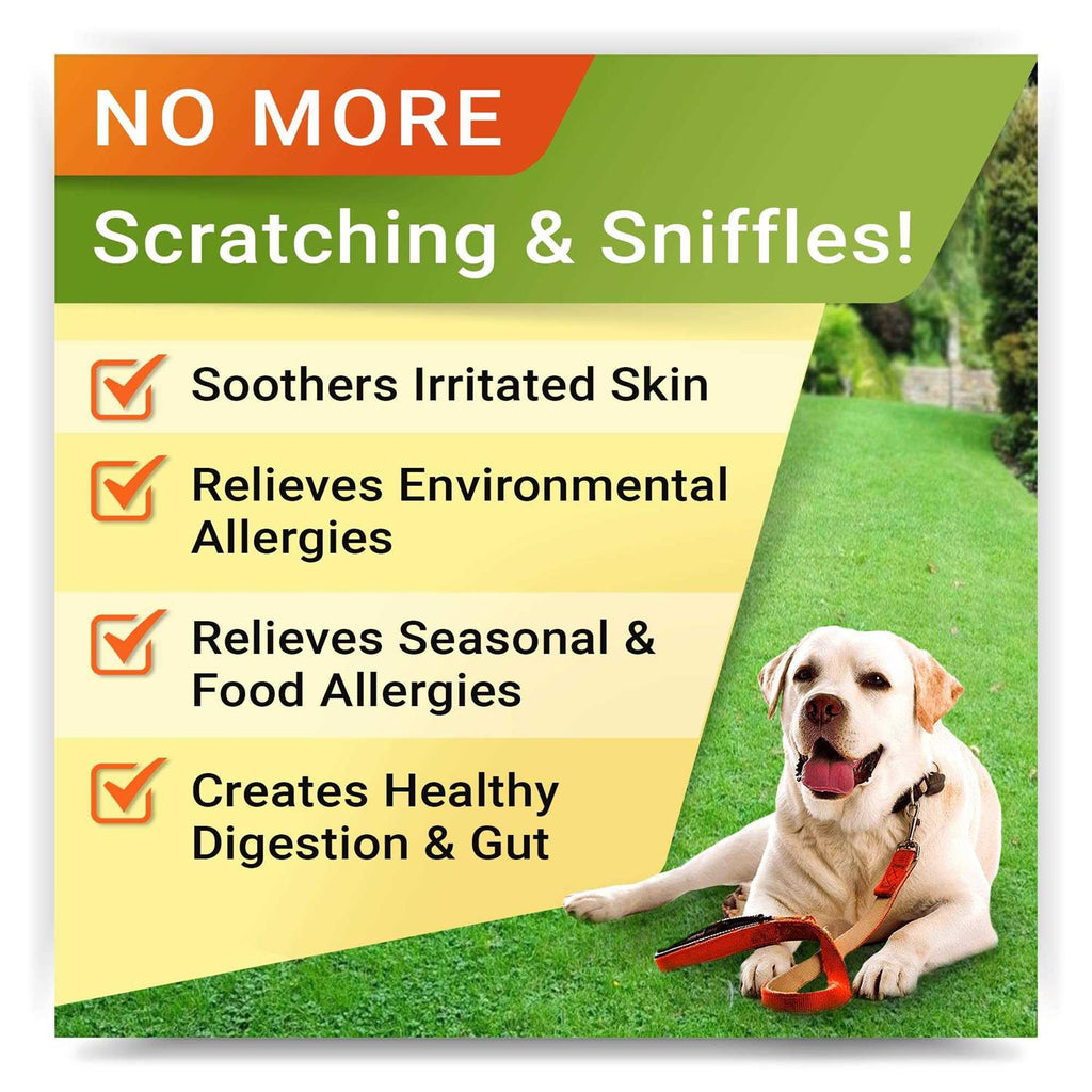 Allergy Relief F5170