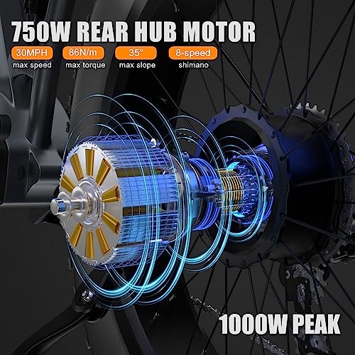 1000W 48V 30AH 26''x4.0 Inch Fat Tire Full Suspension Electric Bike T3191