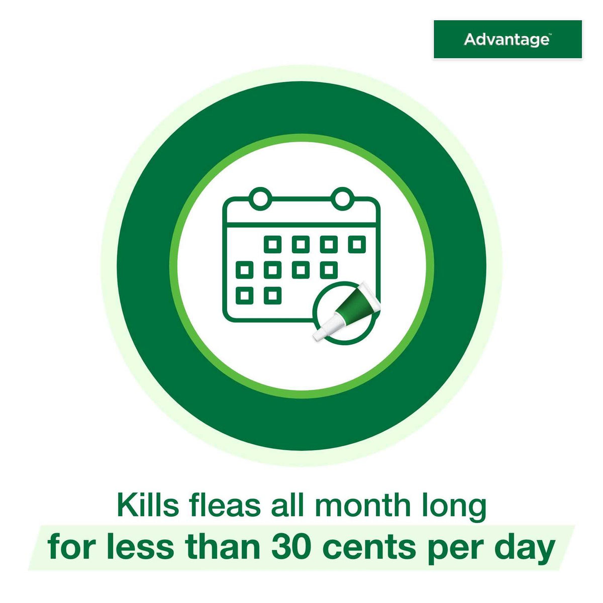 Topical Flea Prevention for Large Cats L494