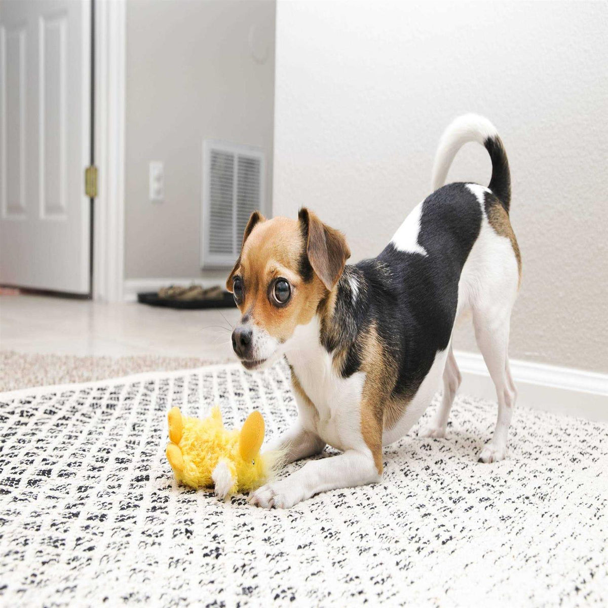 Plush Dog Toy K2456