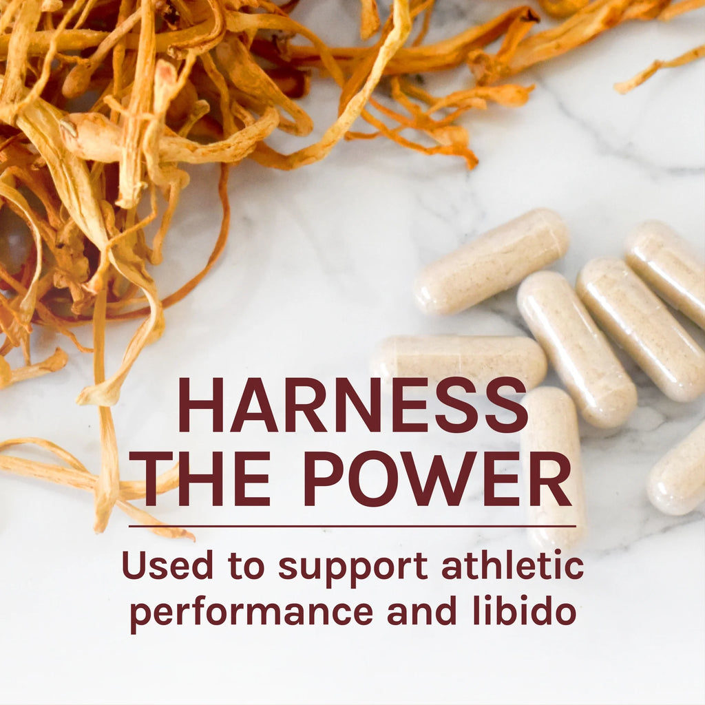 Cordyceps Mushroom Supplement 60 Capsules V13736