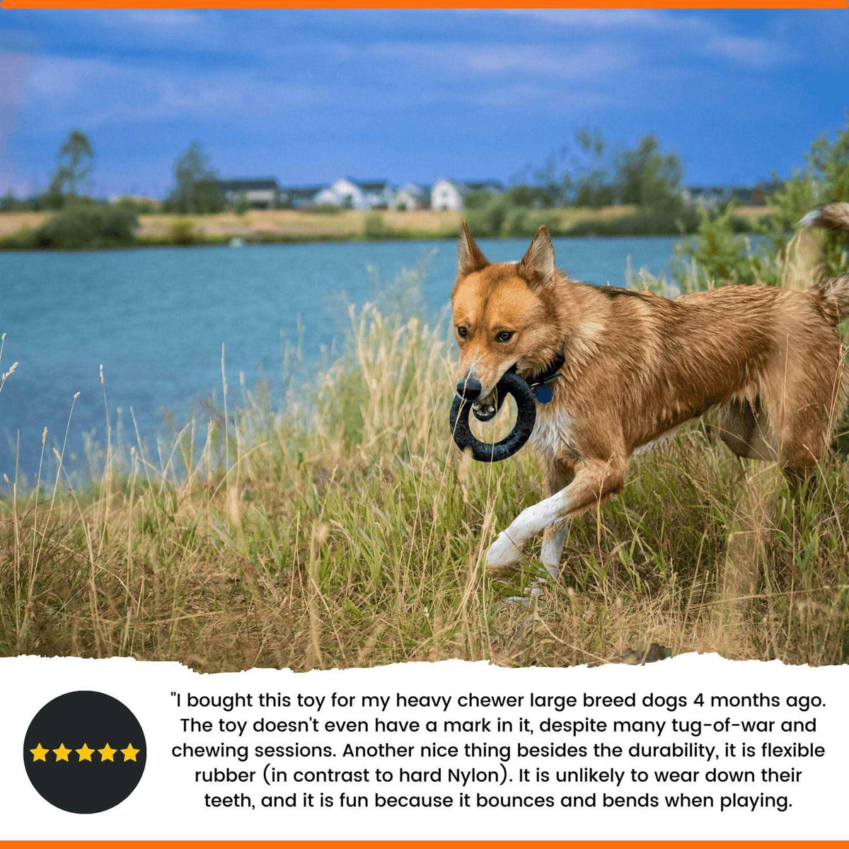 Dog Chew Toy K44217