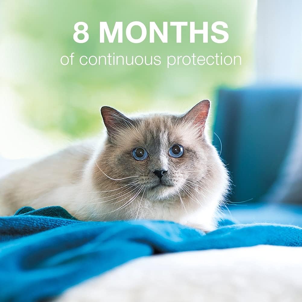 Flea and Tick Collar for Cats, 8-month, Pack of 2 J523993