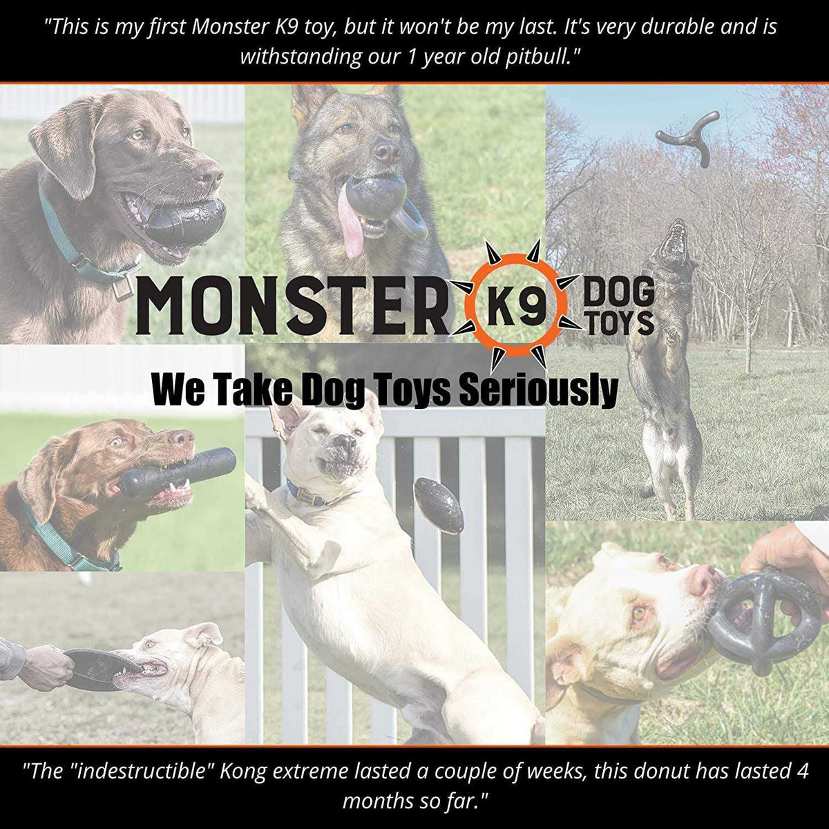Dog Chew Toy K44217