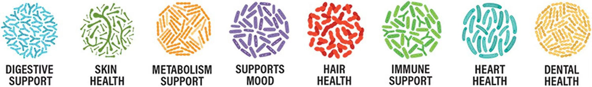 Streptococcus Thermophilus Probiotic Powder 400 Billion cfu's 30 Gram V2833