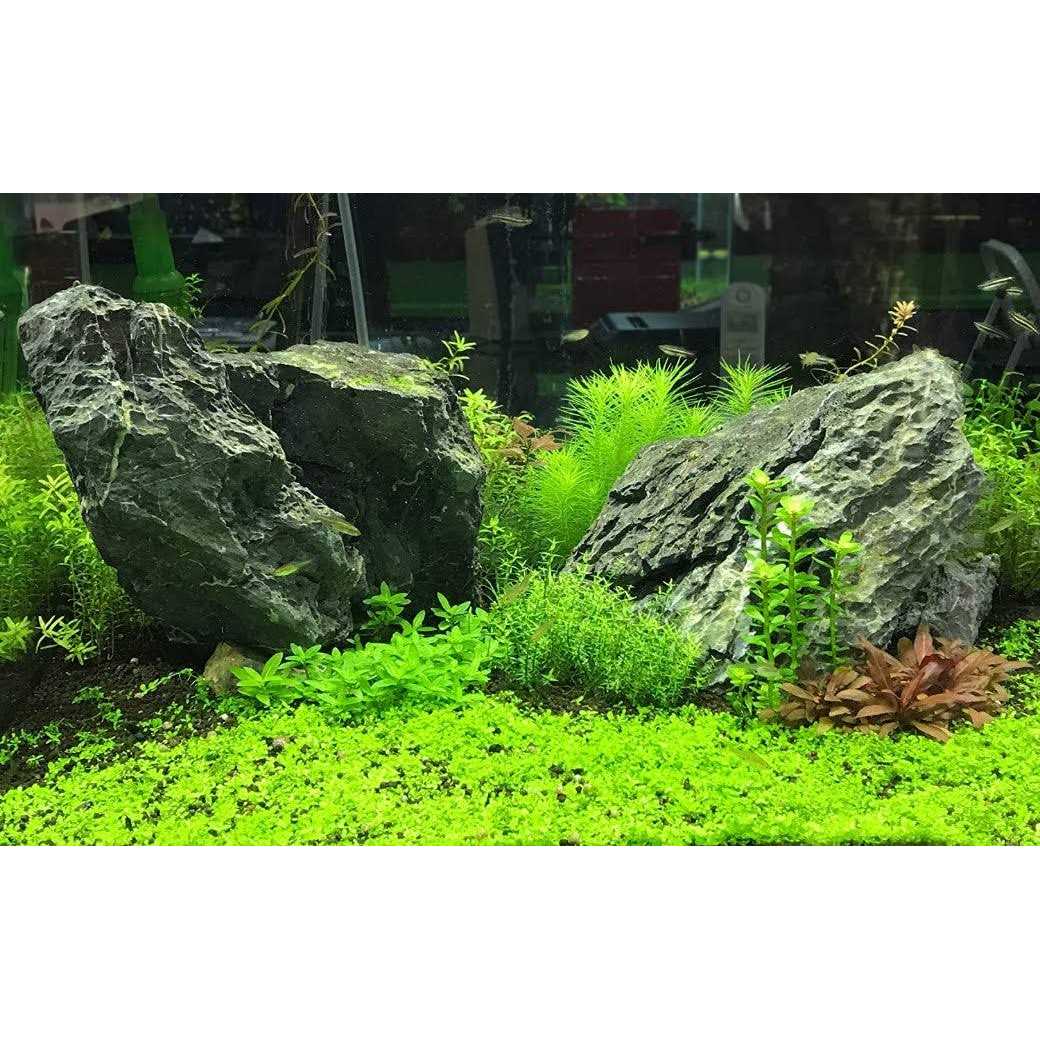 Potassium F340