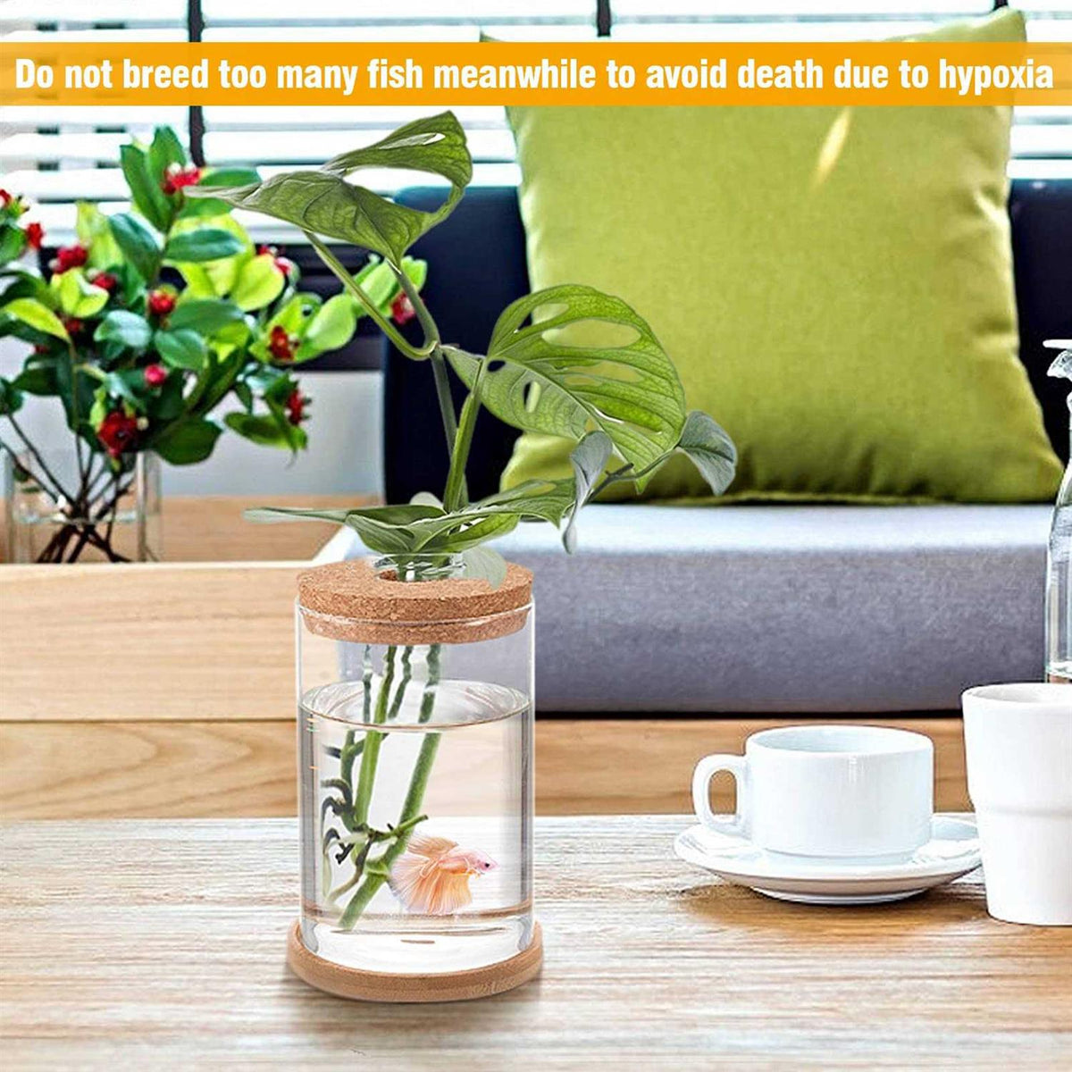 Betta Fish Tank Glass Aquaponic Fish Tank S851
