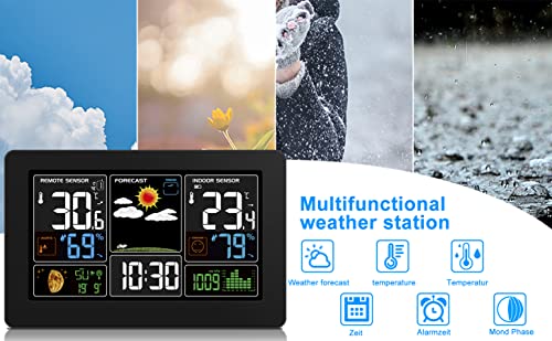 Wireless Indoor Outdoor Thermometer with Alarm P447