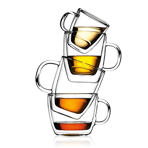 10oz Double Wall Insulated Glass Mug Set of 2 E6427