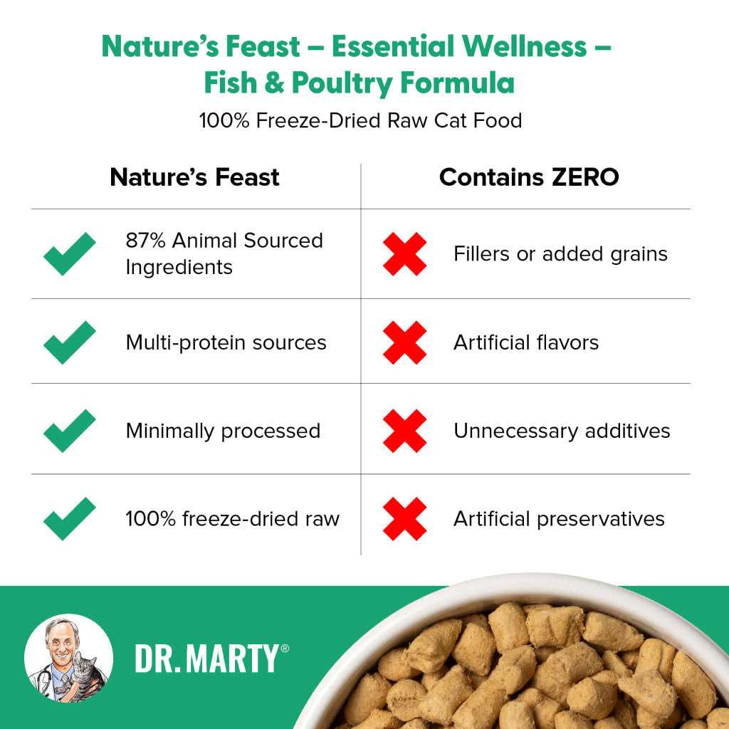 Freeze Dried Raw Cat Food E880872