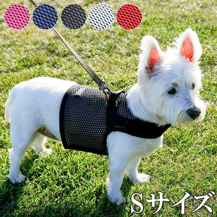 Martingale Walking Dog Harness X851