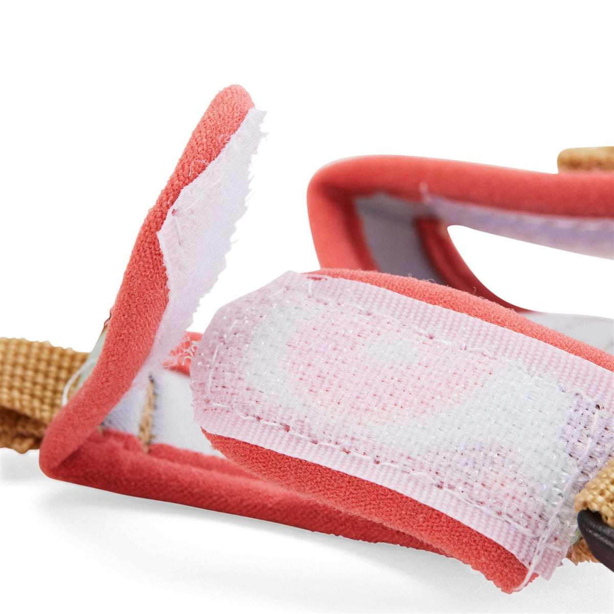 Ferret Harness and Leash G2981