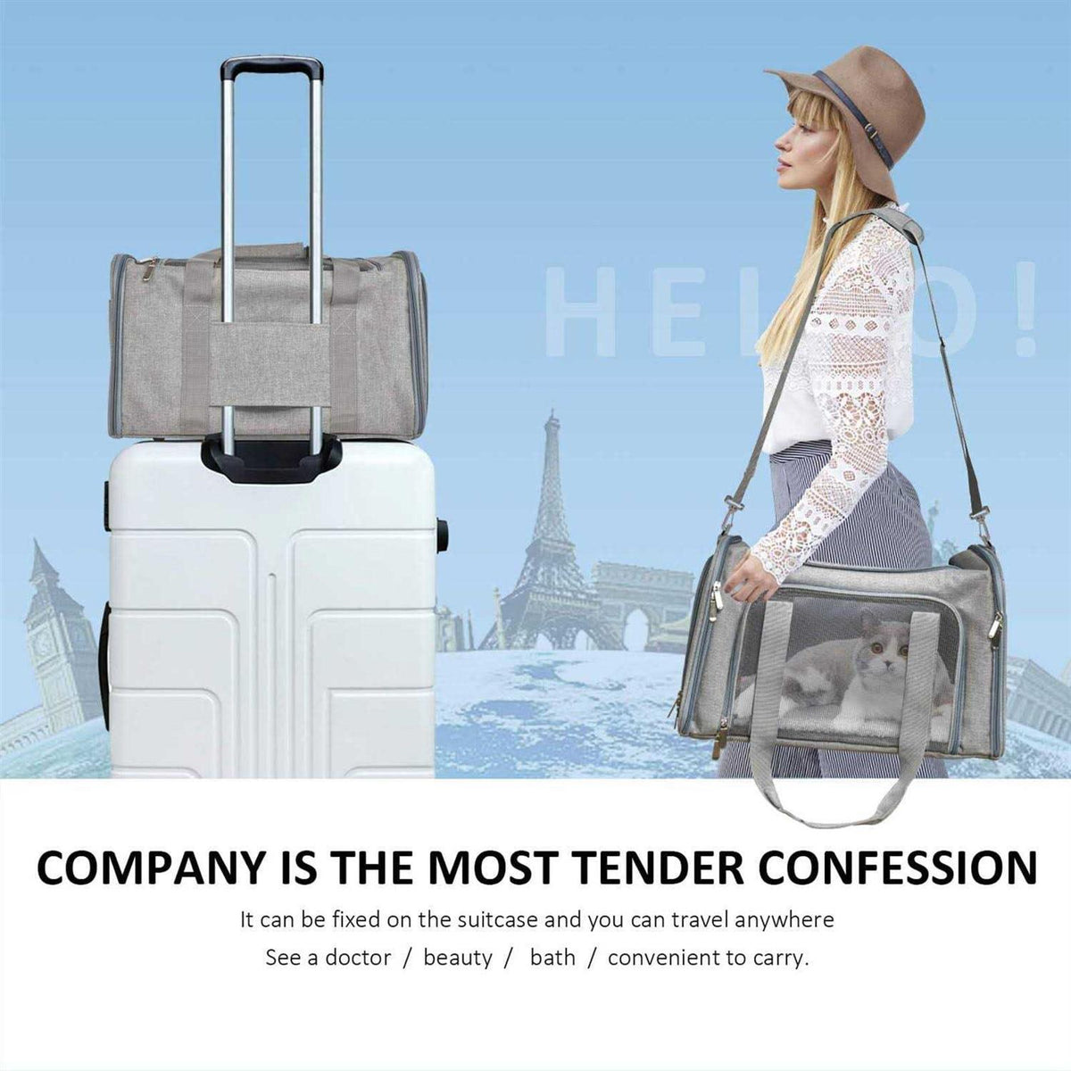 Pet Carrier for Cats, Dogs and Puppies M759