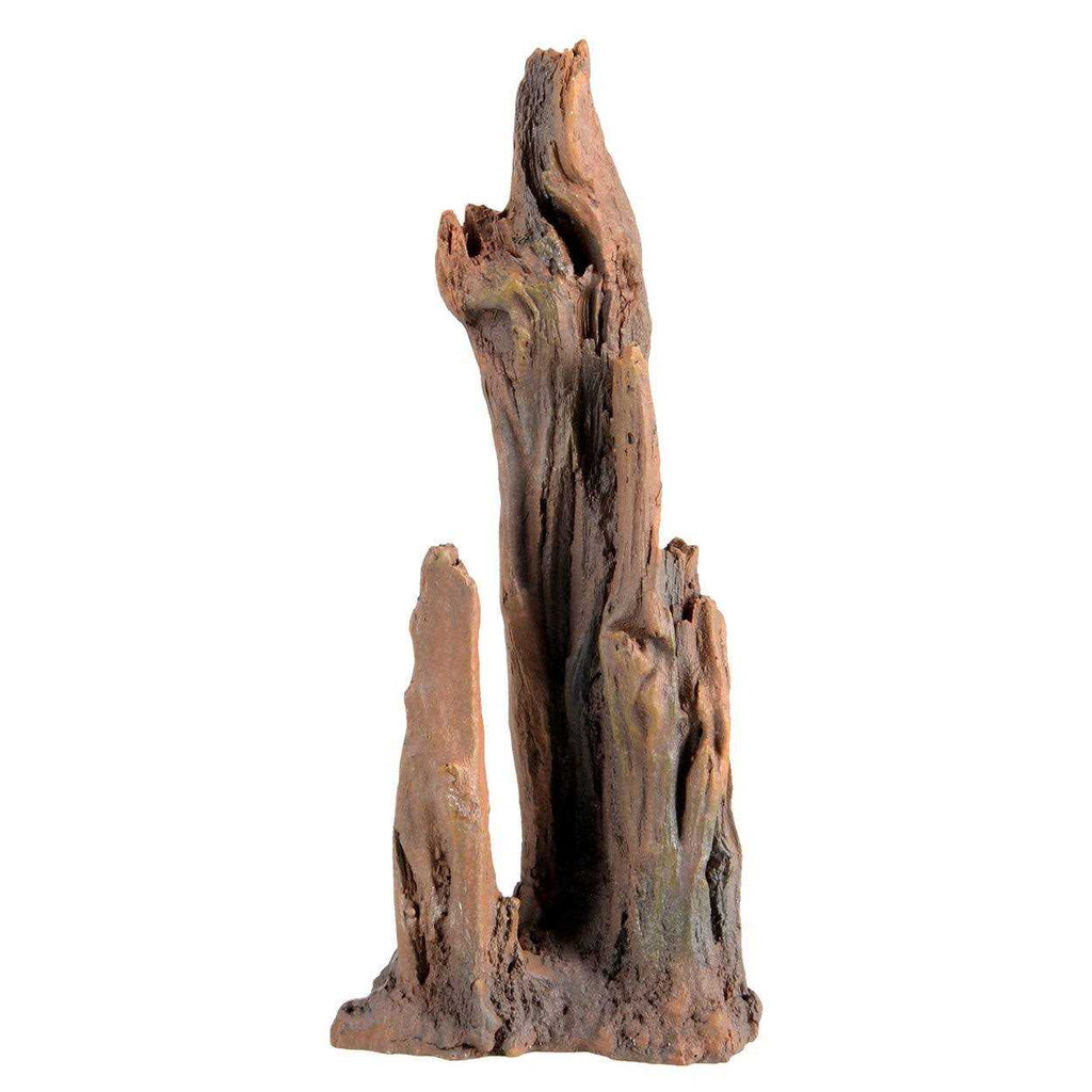 Petrified Wood A803722
