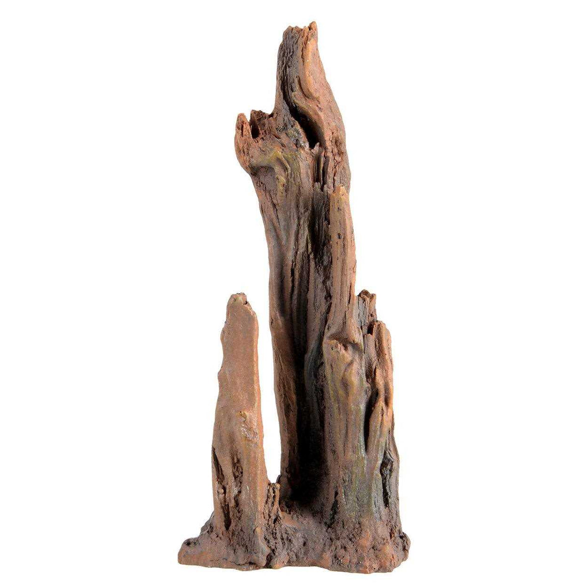 Petrified Wood A803722