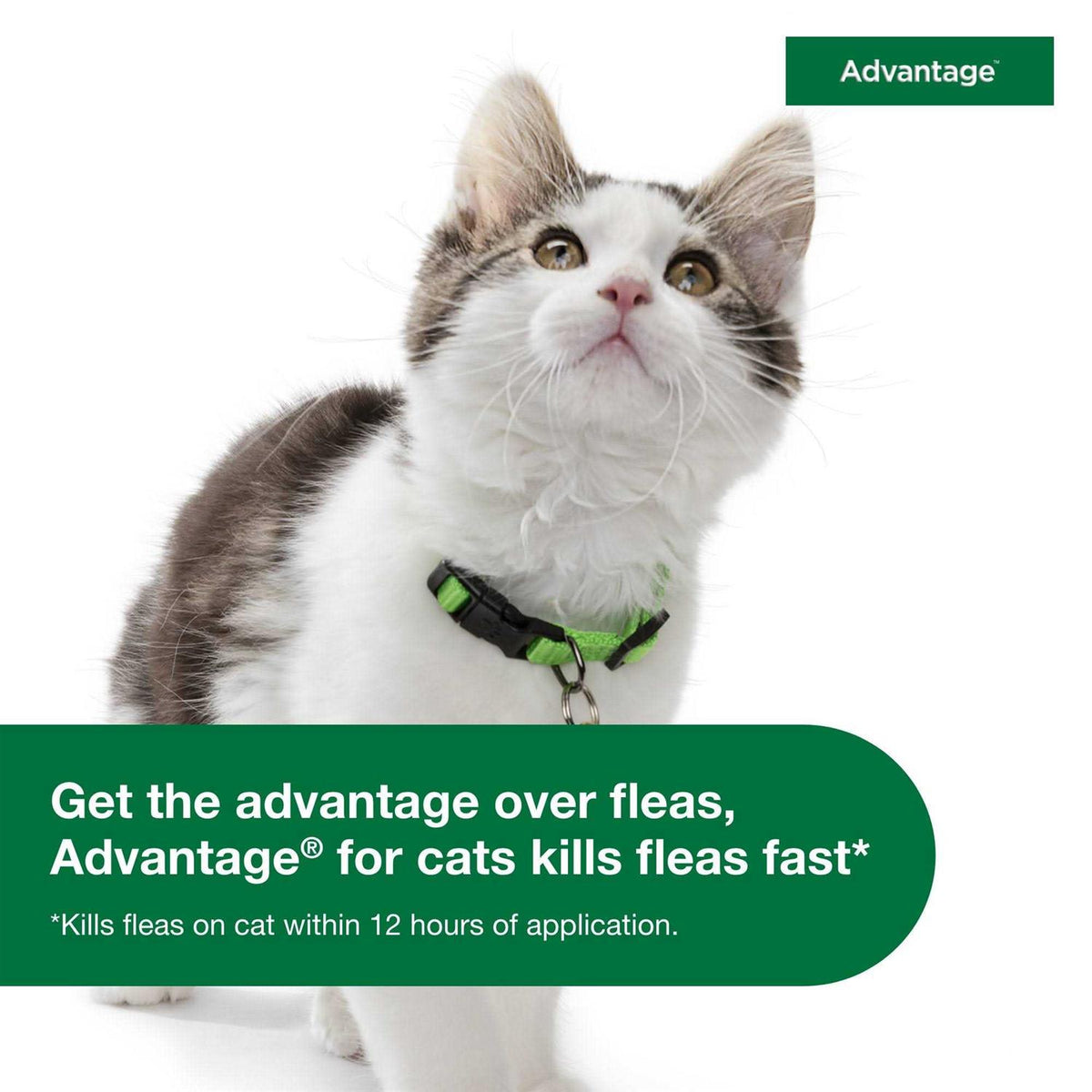 Topical Flea Prevention for Large Cats L494
