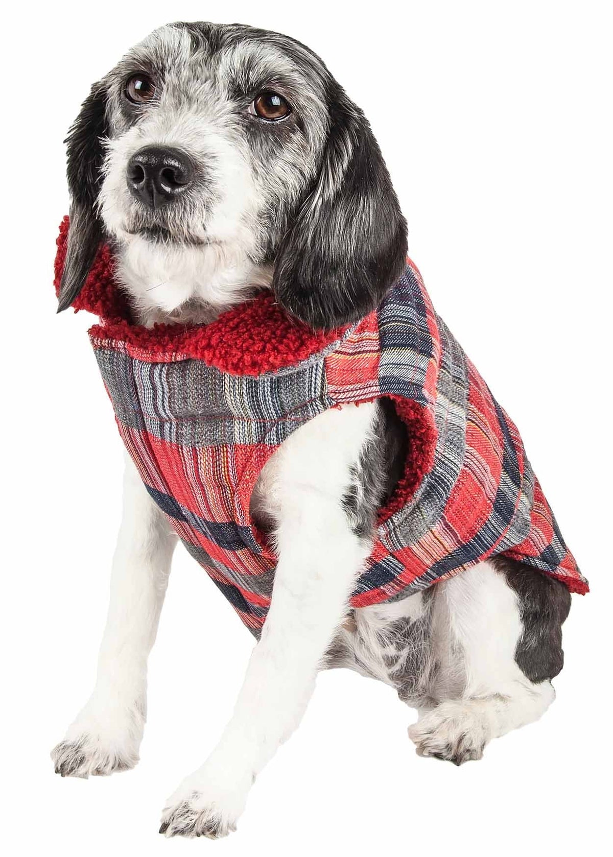 Insulated Dog Coat Jacket T555