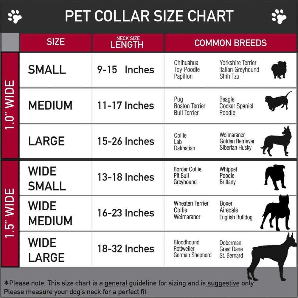 Dog Collar Seatbelt Buckle G4569